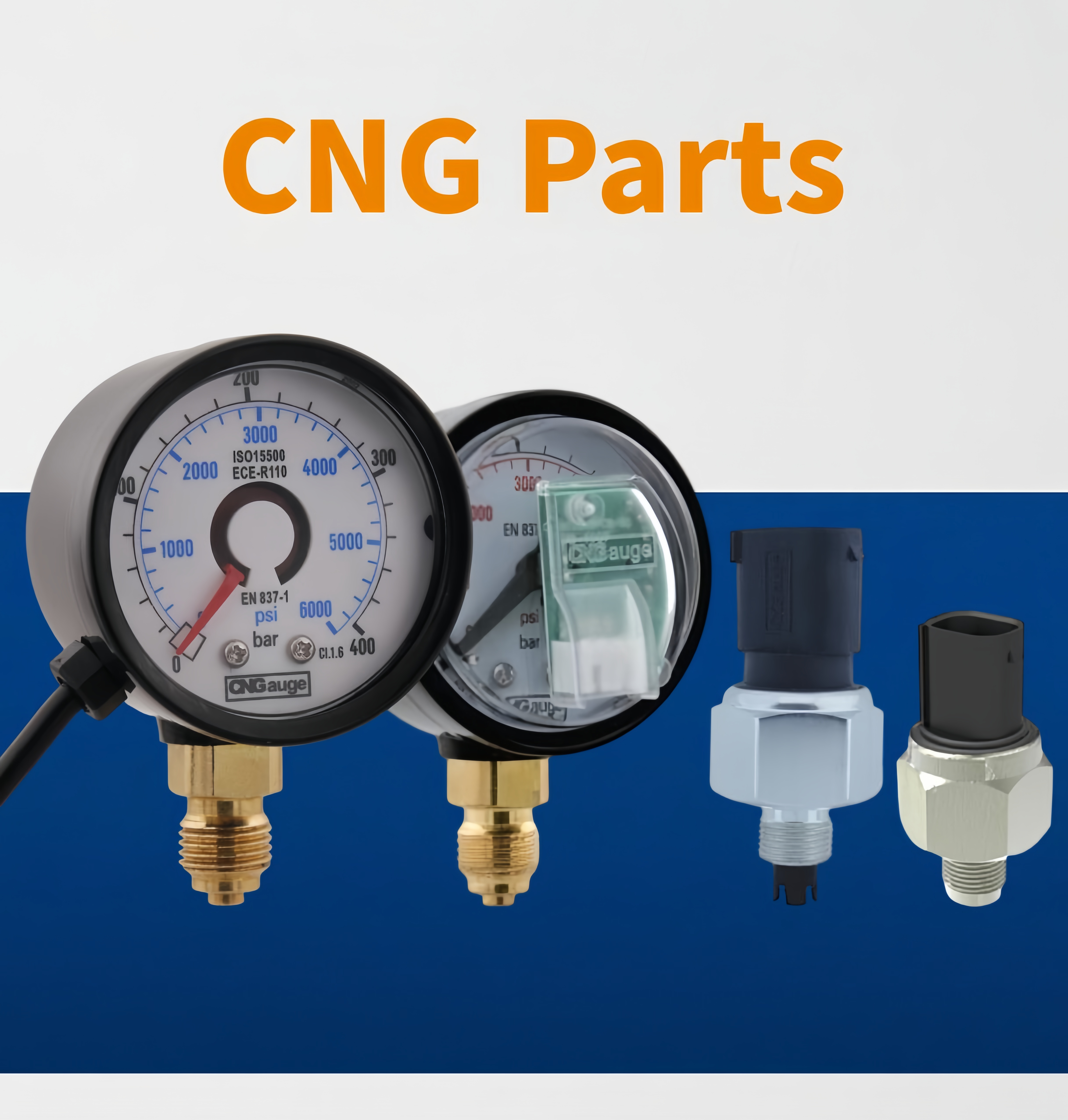 Cat&aacute;logo CNGauge